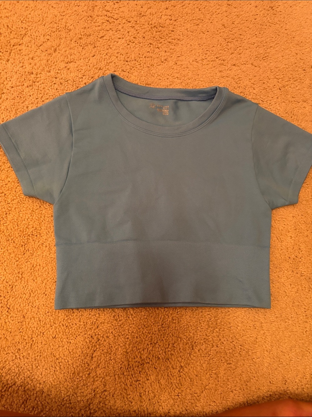 aerie cropped crewneck top in light blue